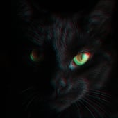 BlackCat ransomware shuts down in exit scam, blames the 